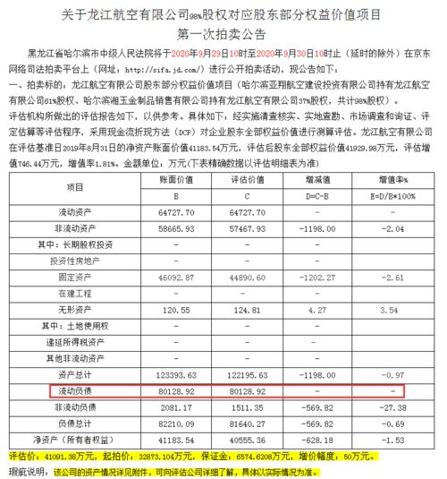 起拍价3.3亿元,超2万人围观 中国民航史上首家航司被拍卖