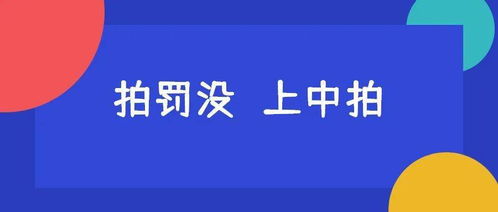 中拍平台 船舶 电脑 烟酒茶,品质保证,等你来 拍罚没财物就上中拍平台